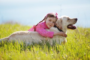 dreamstimeextralarge_24014527